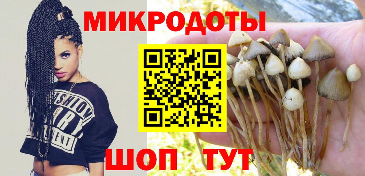 Галлюциногенные грибы Psilocybine cubensis Орск