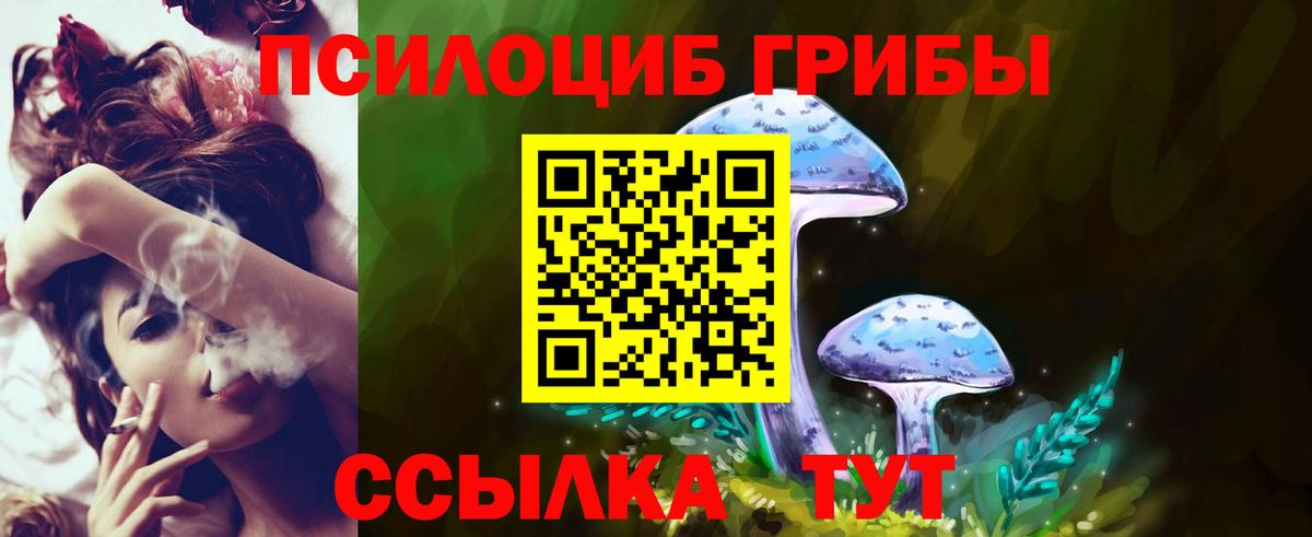 Орск  Галлюциногенные грибы Magic Shrooms  Вход с VPN 